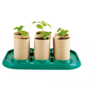 Hape - Growing Gardeners Greenhouse